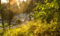 种业公司名字 种业公司起名大全最佳