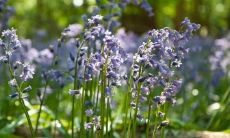 民宿起名字大全参考 民宿有特色的名字