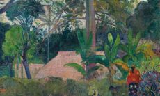 门口有槐树在风水上有什么说法