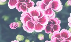 高考能考好试的小迷信有哪些 你知道的有多少