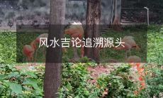 风水吉论追溯源头