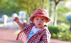 属兔人名字里最不宜带这些字 生肖兔大吉大利的起名建议