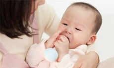 属猪的取名字大全 寓意吉祥前途无量起名建议