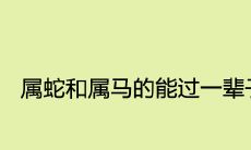 属蛇和属马的能过一辈子吗 适合做夫妻吗