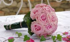 2023年1月19日结婚好吗 农历腊月二十八适不适合办酒席