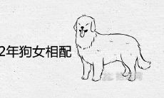 82年狗男和82年狗女相配吗 一生婚姻状况顺利吗