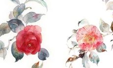 2022年十月适合嫁人娶妻的日子