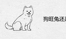 狗旺兔还是兔旺狗 适合做夫妻吗