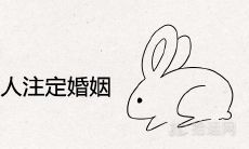 1999年属兔人注定的婚姻对象属相