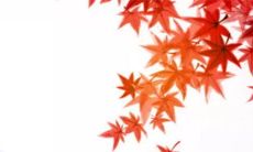 惊蛰出门有什么说法 2023惊蛰日子好不好