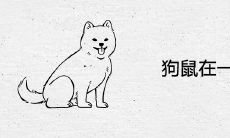 狗鼠在一起谁吃亏 婚配对谁不利