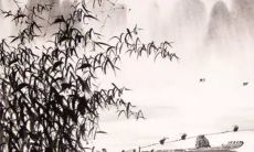 2023年二月出行黄道吉日查询 出游好日子查询