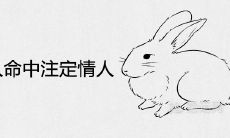 2021年属兔人命中注定的情人 正缘桃花是谁