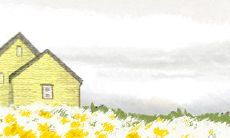 爱情中遭到重创也还是会冲锋陷阵的星座