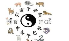 属虎2023年2月运势及运程解析 2023年2月属虎人的运势怎么样