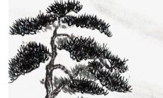 2023年正月二十二适合出门吗 正月二十一出门日子好不好呀