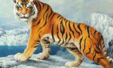 98年属虎床头朝哪个方向好 如何选择床头方向