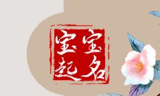 康姓女孩名字大全2023 不用俗气的名字搭配