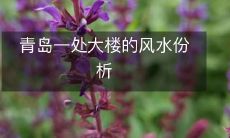 青岛一处大楼的风水份析