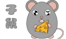 在哪个月出生的生肖鼠会是特别富有之人