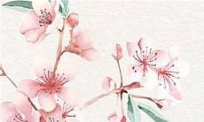 2022年12月28日适合开工吗 这天日子好不好