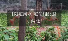 [阳宅风水]宅命相配财丁两旺！