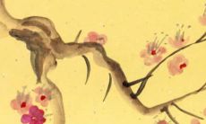 2023年4月28日是农历多少星期几 日子好吗