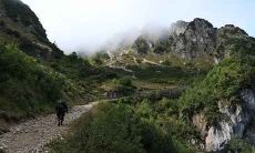 十二生肖改命十大方法—生肖属鼠