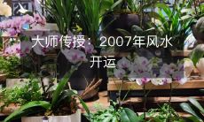 大师传授：2007年风水开运