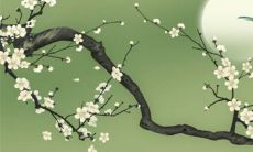 生辰八字解析：2023年2月8日出生的宝宝是什么命，五行缺什么