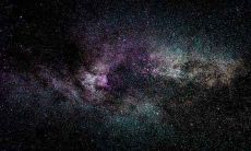 木鼠命是什么意思 木鼠的人运势如何