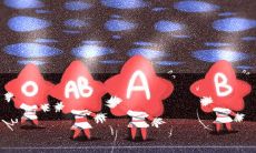 懂得认错 能够自我批评的血型