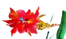 2023年4月5日出生的女孩命好吗，男宝宝八字命格