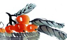 2023年4月6日出生的属兔女孩是什么命，男孩八字命运分析