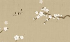 八字解析：2023年2月9日出生的宝宝是什么命，五行缺什么