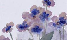 2023年2月3日出生的女宝宝命好吗 人缘极佳性情开朗