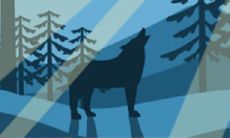 塔罗教你夏季改运大法