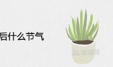 冬至之后什么节气 2021年24节气的顺序一览表