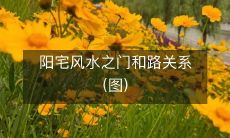 阳宅风水之门和路关系(图)