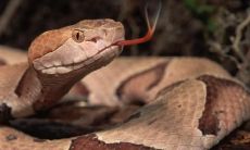 窦久灵姓名评分94分