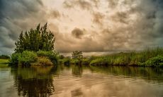 狄太和姓名评分68分