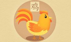 属鸡3合3不合生肖分别是谁 三合感情贵人