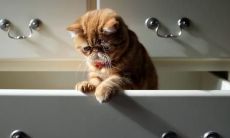 席雯洁姓名评分70分