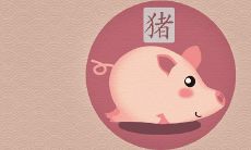 95属猪女正缘在哪一年 最佳婚配属相是谁