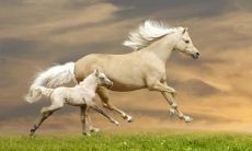 田梦冰姓名评分76分