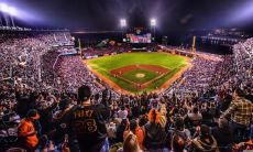 成祎岚姓名评分71分