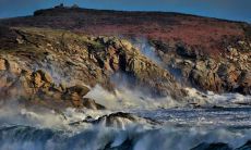 费祯忠姓名评分73分