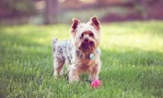 费瑞霜姓名评分83分