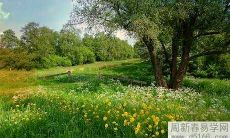 搬进新办公室会有怎样的风水禁忌？注意事项有哪些？