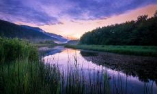 进门墙上的画如何选择 什么图案对家庭运势好